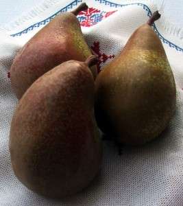 Kleržo
