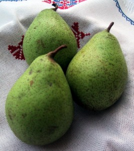 Pariška grofica