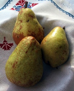 Viljamovka